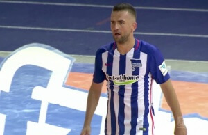 Vedad Ibisevic hertha